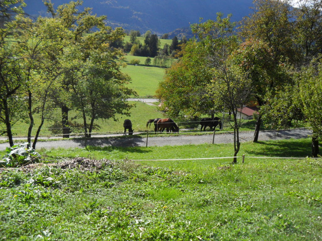 Ferienhaus Warmuth Apartment Sankt Stefan an der Gail ภายนอก รูปภาพ