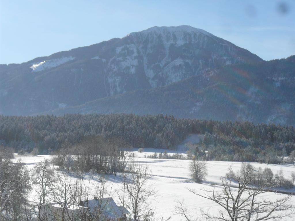 Ferienhaus Warmuth Sankt Stefan an der Gail ภายนอก รูปภาพ
